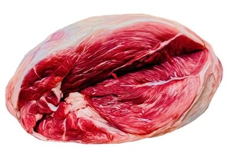 Chunk of fresh pork Stock Illustration