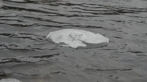 A  chunk of ice floats on rippling river water 스톡 동영상 166004701