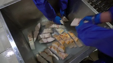 Chunks of fish are dipped in brine Stock Footage 148464761