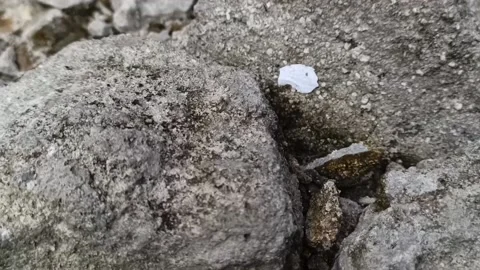 Chunks of former building cement stone Stock Footage 219906592