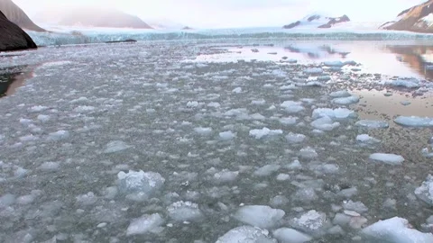 Chunks of Ice Float in Calm Waters of a Glacier Bay, Alaska Lake Video stock 319855499