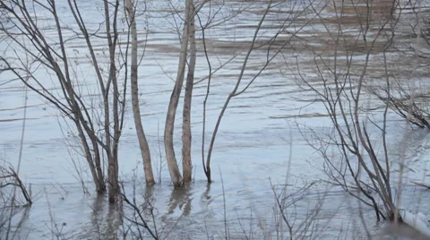 Chunks of ice flow down the river Stock Footage 7909869