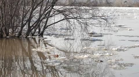 Chunks of ice flow down the river Stock Footage 7909989