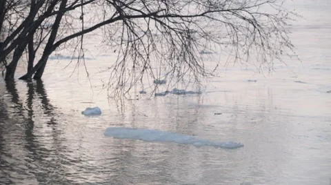 Chunks of ice flow down the river Stock Footage 7910033