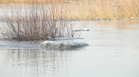 Chunks of ice flow down the river Stock Footage 7910134