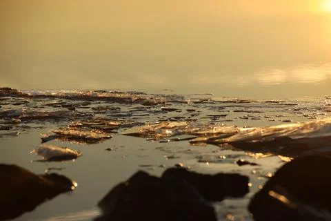 Chunks of ice on the river in the rays of the setting sun. Calm quiet environ Stock Photos