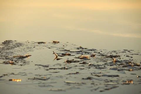 Chunks of ice on the river in the rays of the setting sun. Calm quiet environ Foto stock