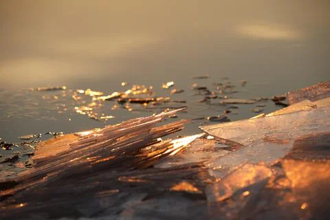 Chunks of ice on the river in the rays of the setting sun. Calm quiet environ Stock Photos