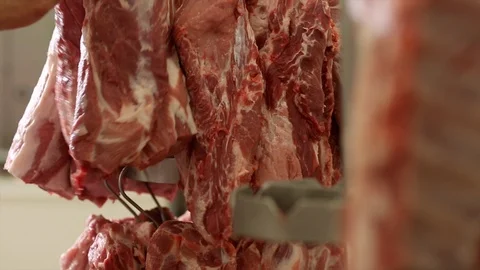 Chunks of meat are hung on hooks Stock Footage 105080590