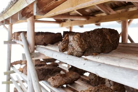 Chunks of peat piled up for drying on shelves of wooden structure. Peat produ Stock Photos