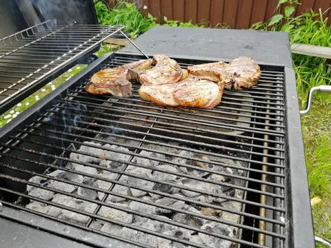 Chunks of pork on the bone roasted on the grill. Outdoor barbecue, close-up Stock Photos