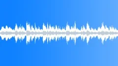 Church Ambience, Praying, Sermon, Santa Maria Maggiore, Rome, LoopSound Effect