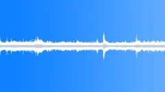 Church Ambience, Sant' Agnese in Agone, Rome, Visitors, LoopSound Effect
