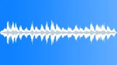 Church Ambience, Singing, Santa Maria Maggiore, Rome, V1Sound Effect