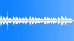 Church Ambience, Singing, Santa Maria Maggiore, Rome, V2Sound Effect