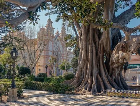 Church among the tree Stock Photos