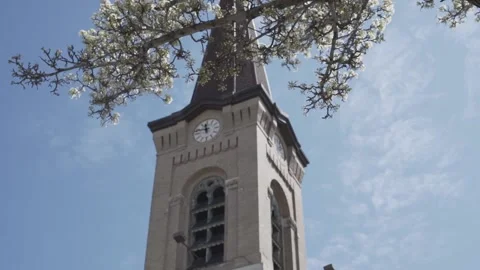 Church and blooms Stock Footage 131263607
