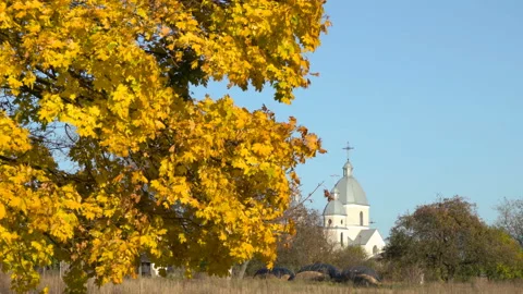 Church and maple tree Video stock 122857076