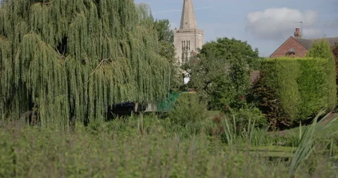 Church and Willow Tree Video stock 210221546