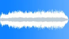 Church Bells 5 BellsSound Effect