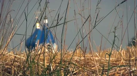 Church Blur Video stock 65294686