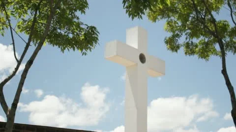 Church Cross Bird 库存影片 11133162