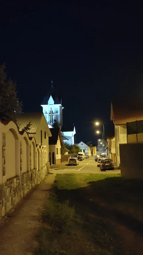 Church from distance Stock Footage 286798469