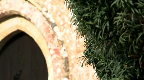 Church door with tree 動画素材 37554684