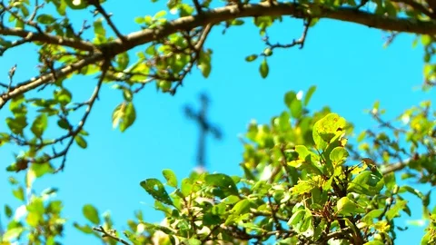 Church 動画素材 73312294