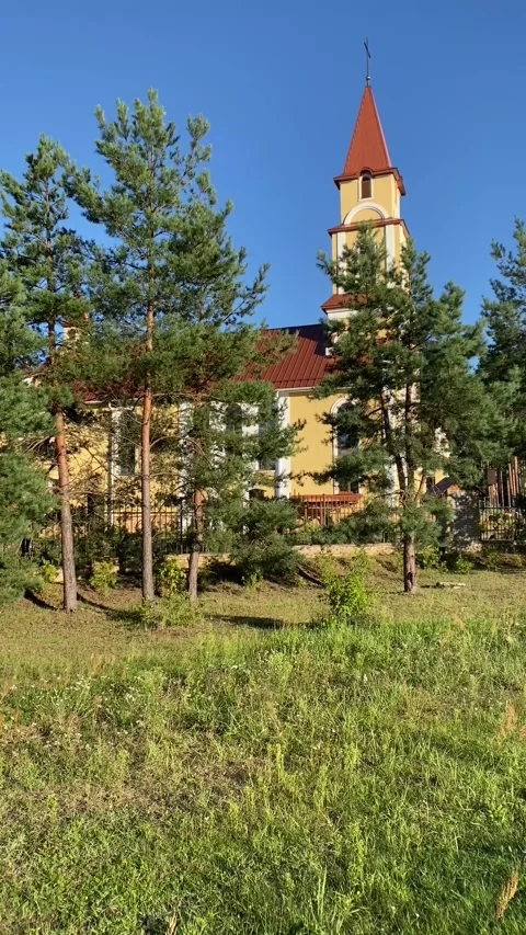 A church in a forest clearing among the trees. Vertical video Video stock 282182172