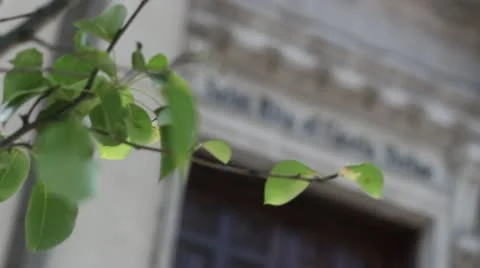 Church front rack focus to tree leaves catholic shrine Video stock 11136190