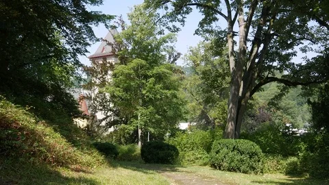 A church hidden in the trees Stock Footage 80028190