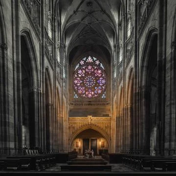 Church interior with large hall Photos