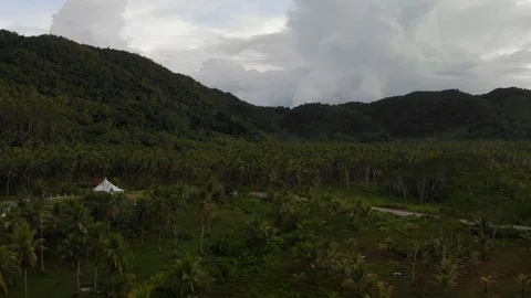 Church in the jungle Stock Footage 108258548