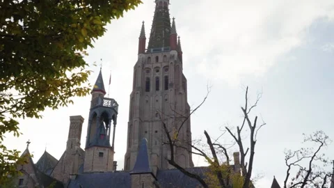 Church of Our Lady tower reveal behind trees on sunny fall day in Bruges, Be Stock Footage 329052674