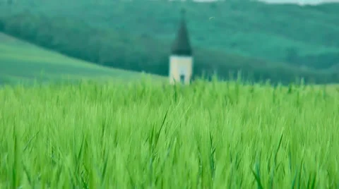 Church over the wheatfield Stock Footage 36678865
