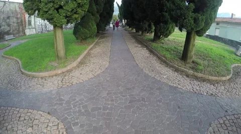 Church path with cypress Video stock 44322218