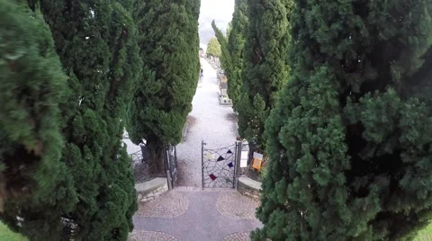 Church path with cypress Video stock 44322226
