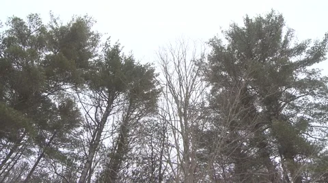Church in a Snowstorm Stock Footage 46753463