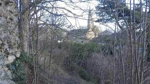 Church spire through Trees 動画素材 104349928
