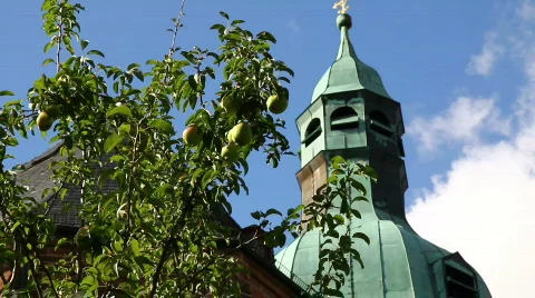 Church steeple with tree Stock Footage 866053