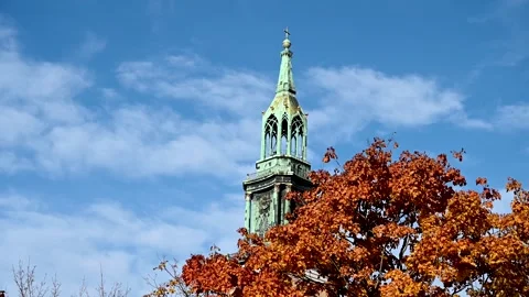 Church tower behind the tree. Stock Footage 253825806