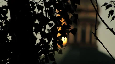 Church for the trees Stock Footage 24037644