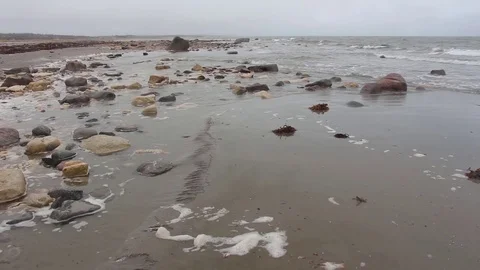 Churchill beach with rocks Video stock 81832230