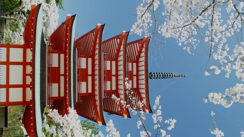 Chureito Pagoda Video stock 110922210