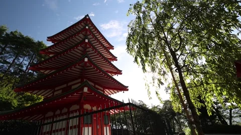Chureito Pagoda Low Angle View Lens Flare Through Tree 動画素材 328130047