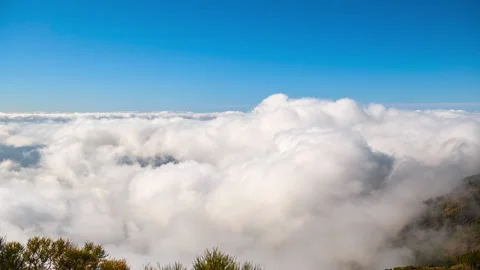 Churning Clouds Rushing Toward Camera Above Treetops Tenerife 4K Timelapse Drama Stock Footage 335765143