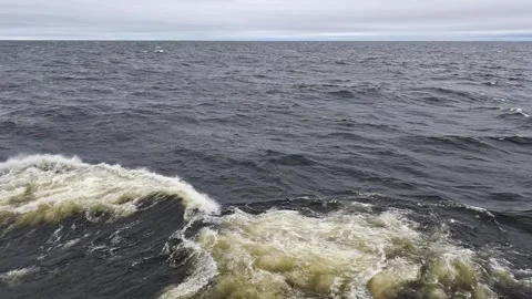 Churning dark ocean waves under gray skies. Video stock 341791101