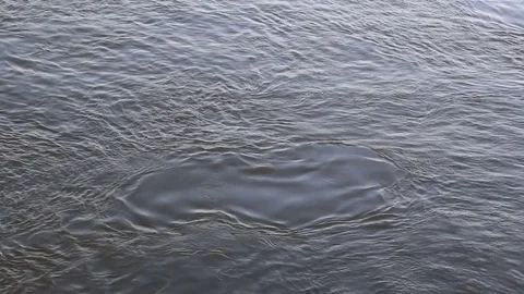 Churning Water Surface Stock Footage 74313980