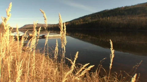 Chute lake grass in foreground Stock Footage 281782